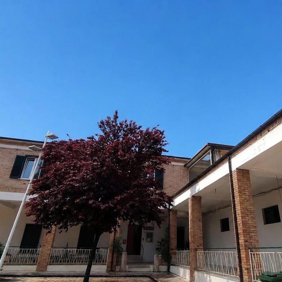Brick building with white pillars and a covered walkway, red-leaf trees in front and a clear blue sky.